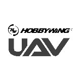 Hobbywing